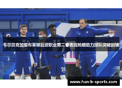 韦尔贝克加盟布莱顿后迎职业第二春表现抢眼助力球队突破困境